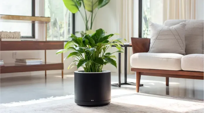 Горшок с автополивом: удобство и уход за растениями без хлопот