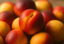 От тепличного ухода до холодильника: что импортные нектарины набирают по пути