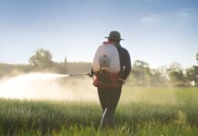 Как избавиться от змей на даче: профессиональная обработка в Дзержинске