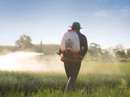 Как избавиться от змей на даче: профессиональная обработка в Дзержинске