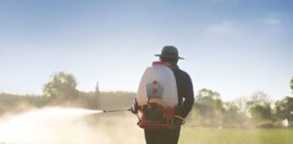 Как избавиться от змей на даче: профессиональная обработка в Дзержинске