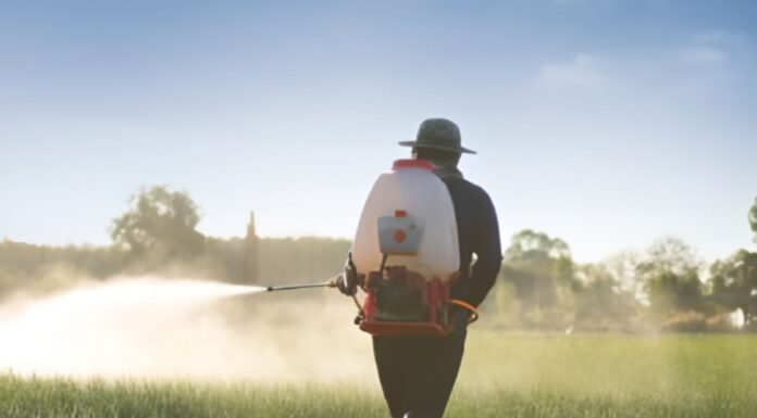 Как избавиться от змей на даче: профессиональная обработка в Дзержинске