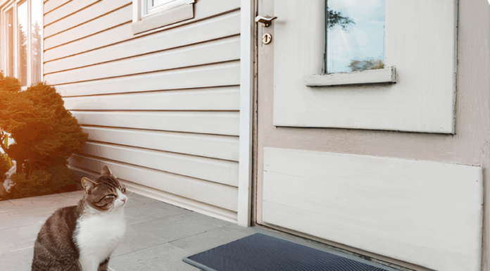 Коврик в прихожую: функциональность и дизайн в одном решении